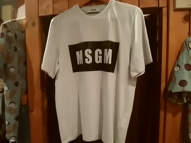 MSGMカットソー入荷！！！