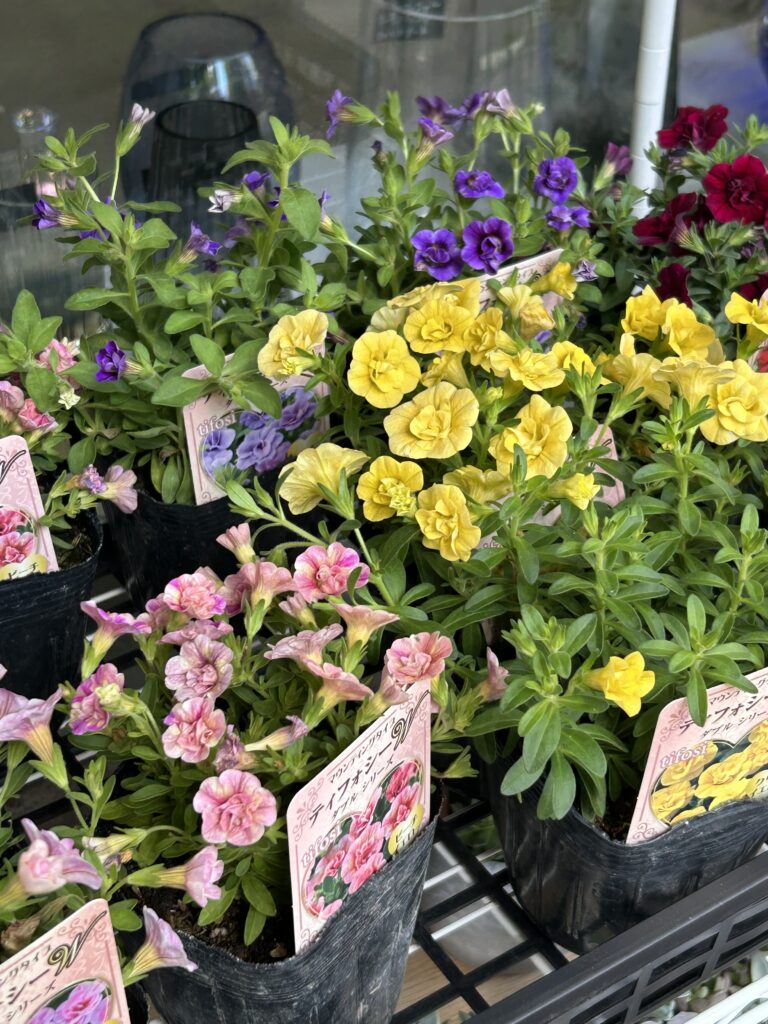 florist JIJI フローリストジジ