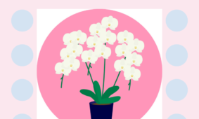 florist JIJI